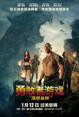 勇敢者游戏：决战丛林 Jumanji: Welcome to the Jungle.2017 字幕下载