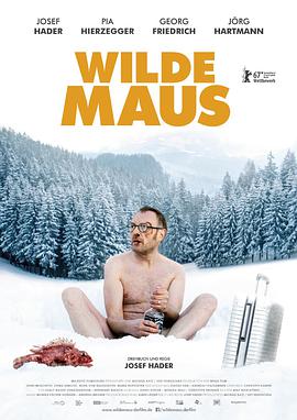 狂鼠 Wilde Maus.2017 字幕下载