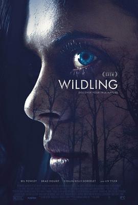 野生狼性 Wildling.2018 字幕下载