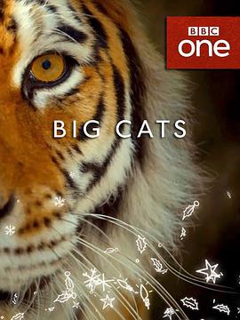 大猫 Big Cats.2018 字幕下载