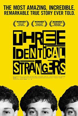 孪生陌生人 Three Identical Strangers.2018 字幕下载