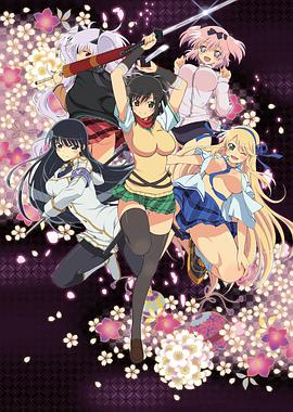 闪乱神乐 閃乱カグラ.2013 字幕下载
