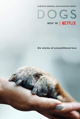 爱犬情深 第一季 Dogs.2018 字幕下载