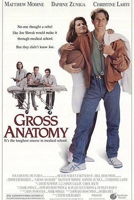 对你爱不完 Gross Anatomy.1989 字幕下载