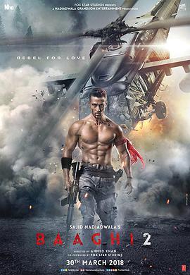 为爱叛逆Ⅱ之逆战到底 Baaghi 2: A Rebel For Love.2018 字幕下载