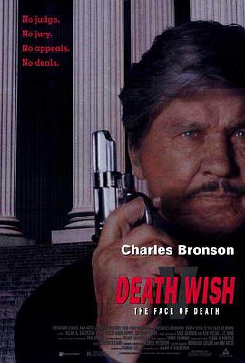 猛龙怪客5：死神现身 Death Wish V: The Face of Death.1994 字幕下载