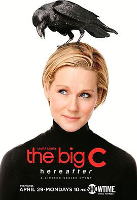 如果还有明天 第四季 The Big C.2013 字幕下载