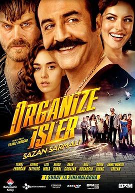 有组织的工作 Organize Isler: Sazan Sarmali.2019 字幕下载