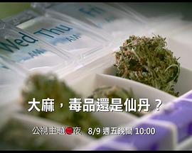 大麻：毒品还是仙丹 cannabis, wonderdrug?.2017 字幕下载