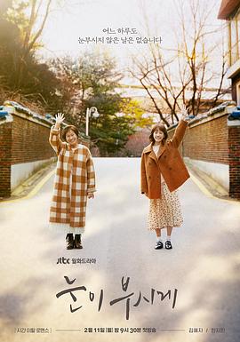 耀眼 눈이 부시게.2019 字幕下载