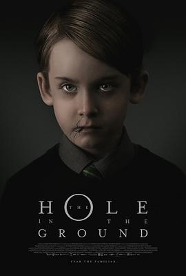 地面之洞 The Hole in the Ground.2018 字幕下载