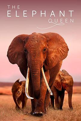 大象女王 The Elephant Queen.2018 字幕下载