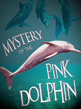 粉海豚之奥秘 The Mystery of the Pink Dolphin.2015 字幕下载