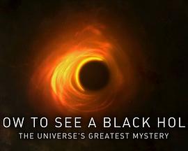 如何看见黑洞：宇宙的终极秘密 How to See a Black Hole: The Universe's Greatest Mystery.2019 字幕下载