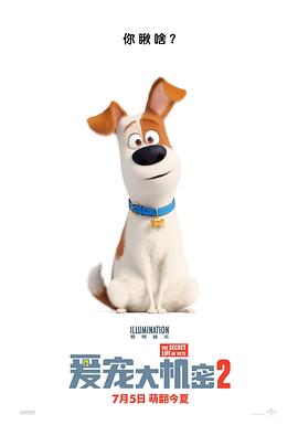 爱宠大机密2 The Secret Life of Pets 2.2019 字幕下载