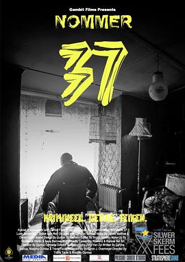 37号 Nommer 37.2018 字幕下载