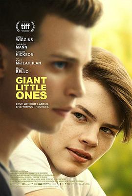 小小巨人 Giant Little Ones.2018 字幕下载
