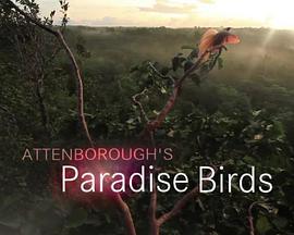 爱登堡的极乐鸟世界 Attenborough's Paradise Birds.2015 字幕下载