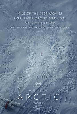 北极 Arctic.2018 字幕下载