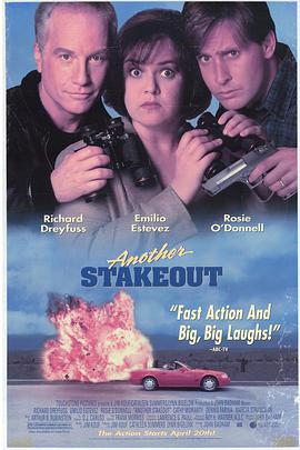 疯狂盯梢令 Another Stakeout.1993 字幕下载