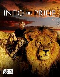 贴近狮群 Into the Pride.2009 字幕下载