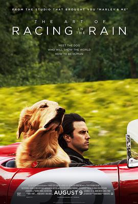 我在雨中等你 The Art of Racing in the Rain.2019 字幕下载