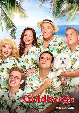 金色年代 第七季 The Goldbergs.2019 字幕下载