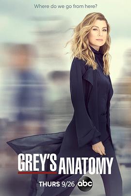 实习医生格蕾 第十六季 Grey's Anatomy.2019 字幕下载