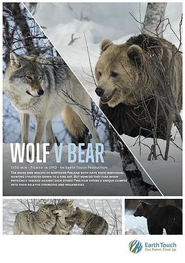 Wolf vs Bear .2018 字幕下载