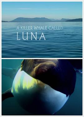 一条叫卢娜的虎鲸 Natural World: A Killer Whale Called Luna.2010 字幕下载