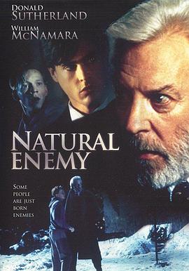 危机天敌 Natural Enemy.1997 字幕下载