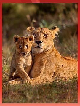 动物超级父母 Animal Super Parents.2015 字幕下载