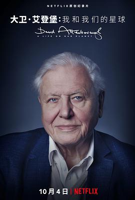 大卫·爱登堡：地球上的一段生命旅程 David Attenborough: A Life on Our Planet.2020 字幕下载