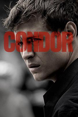 秃鹰 第二季 Condor Season 2.2020 字幕下载