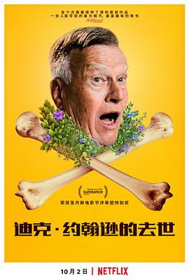 迪克·约翰逊已死 Dick Johnson Is Dead.2020 字幕下载