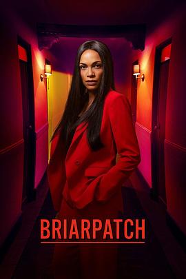 荆棘丛 Briarpatch.2020 字幕下载