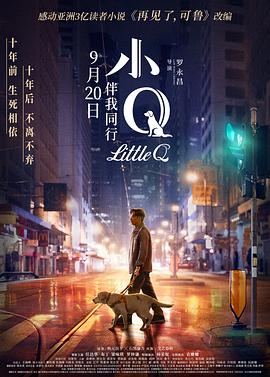 小Q 小Q.2019 字幕下载