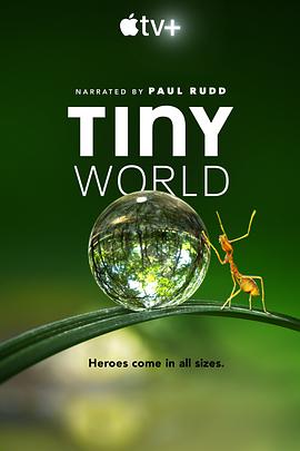 小小世界 Tiny World.2020 字幕下载