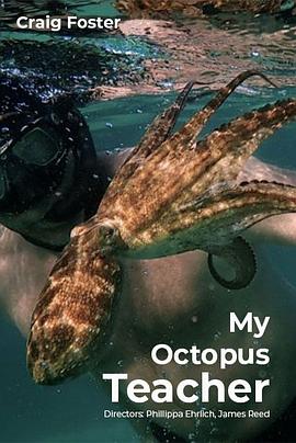 我的章鱼老师 My Octopus Teacher.2020 字幕下载