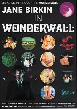 迷墙 Wonderwall.1968 字幕下载
