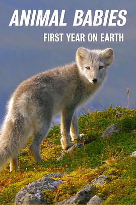 萌宝出生第一年 Animal Babies: First Year on Earth.2019 字幕下载