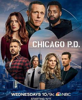 芝加哥警署 第八季 Chicago P.D. Season 8.2020 字幕下载