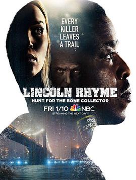 神探林肯 Lincoln Rhyme: Hunt for the Bone Collector.2020 字幕下载
