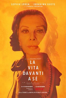 来日方长 La vita davanti a sé.2020 字幕下载