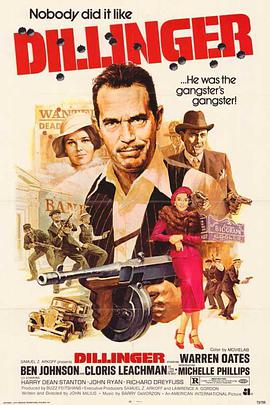 大盗龙虎榜 Dillinger.1973 字幕下载