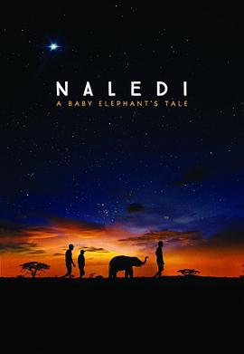 纳勒迪：一只小象的故事 Naledi: A Baby Elephant's Tale.2016 字幕下载