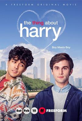 关于哈利的那些事 The Thing About Harry.2020 字幕下载