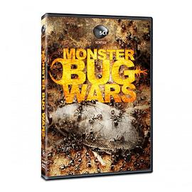 虫虫杀手大战 第一季 Monster Bug Wars!.2011 字幕下载