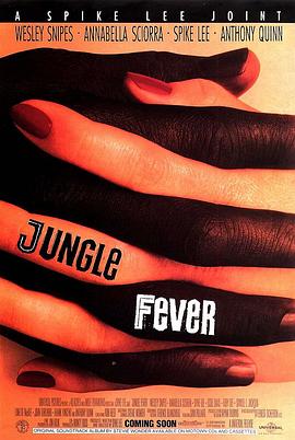 丛林热 Jungle Fever.1991 字幕下载