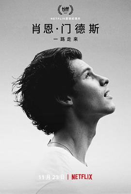 肖恩·门德斯：一路走来 Shawn Mendes: In Wonder.2020 字幕下载